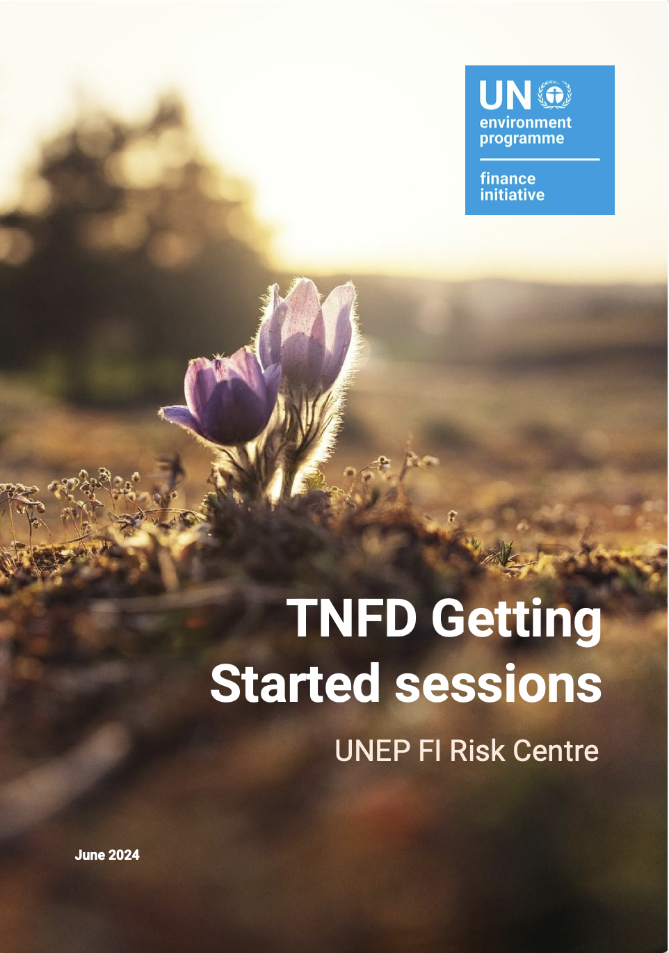 TNFD Getting Started sessions